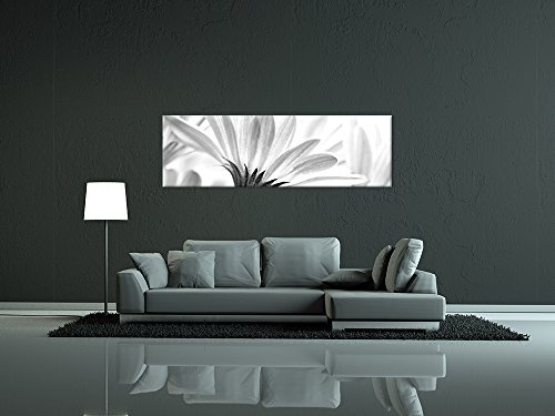 Keilrahmenbild - Blume - schwarz Weiss - Bild auf Leinwand - 160x50 cm einteilig - Leinwandbilder - Pflanzen & Blumen - Blüte Einer Margerite