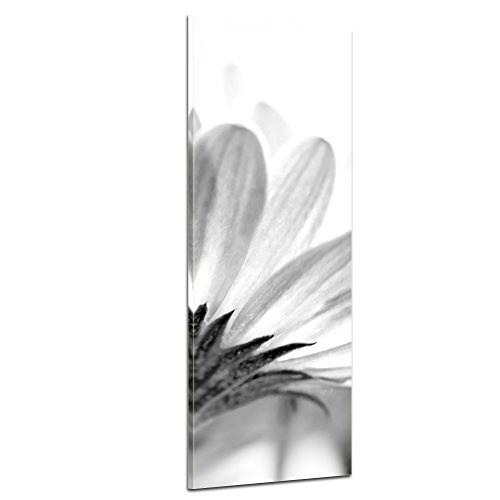 Keilrahmenbild - Blume - schwarz Weiss - Bild auf Leinwand - 40x120 cm einteilig - Leinwandbilder - Pflanzen & Blumen - Blüte Einer Margerite