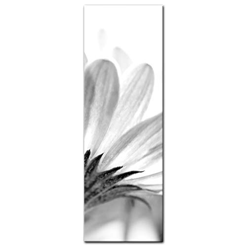 Keilrahmenbild - Blume - schwarz Weiss - Bild auf Leinwand - 40x120 cm einteilig - Leinwandbilder - Pflanzen & Blumen - Blüte Einer Margerite