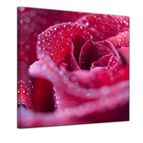 Keilrahmenbild - Rosenblüte - Bild auf Leinwand 80 x 80 cm - Leinwandbilder - Bilder als Leinwanddruck - Pflanzen & Blumen - Natur - rosa Rose mit Wasserperlen