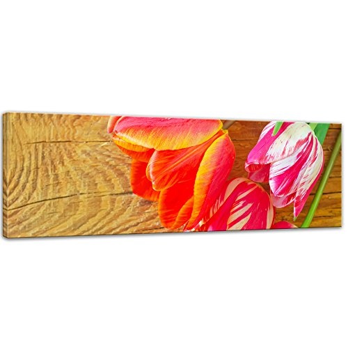 Keilrahmenbild - Tulpen - Bild auf Leinwand - 160x50 cm einteilig - Leinwandbilder - Pflanzen & Blumen - Blumenstrauß - Blüten - pink - rot