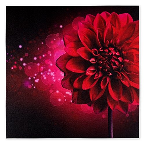 Wandbild Fotodruck Keilrahmen Bild Blume pink Dahlie Floral futuristisch 60x60cm