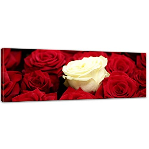 Keilrahmenbild - Weiße Rose - Bild auf Leinwand - 120 x 40 cm - Leinwandbilder - Bilder als Leinwanddruck - Pflanzen & Blumen - Natur - Weisse Rose - rote Rosen