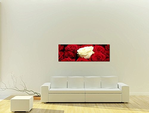 Keilrahmenbild - Weiße Rose - Bild auf Leinwand - 120 x 40 cm - Leinwandbilder - Bilder als Leinwanddruck - Pflanzen & Blumen - Natur - Weisse Rose - rote Rosen