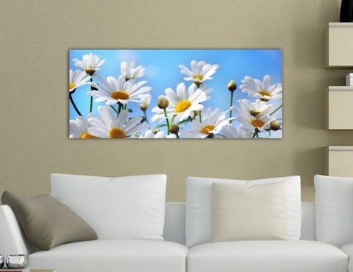 Leinwandbild Panorama Nr. 80 weiße Blumen 100x40cm, Keilrahmenbild, Bild auf Leinwand, Kunstdruck Kamille Blüte Blume