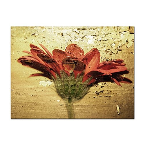 Keilrahmenbild - Grunge Blume - Bild auf Leinwand - 120x90 cm einteilig - Leinwandbilder - Urban & Graphic - rote Blüte