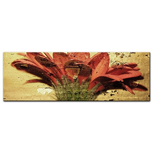 Keilrahmenbild - Grunge Blume - Bild auf Leinwand - 160x50 cm einteilig - Leinwandbilder - Urban & Graphic - rote Blüte