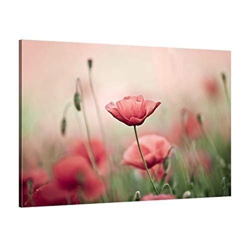 ge Bildet® hochwertiges Leinwandbild XXL - Mohnblumenfeld - Blumen Natur - 120 x 80 cm einteilig 1303