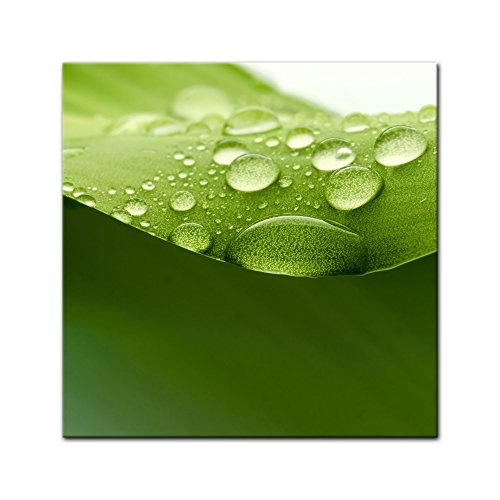 Keilrahmenbild - Blatt - Bild auf Leinwand - 80 x 80 cm - Leinwandbilder - Bilder als Leinwanddruck - Pflanzen & Blumen - grünes Blatt mit Wassertropfen