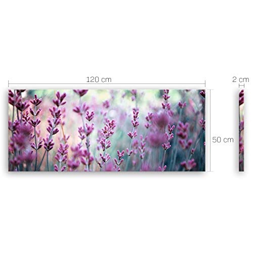 ge Bildet® hochwertiges Leinwandbild XXL Panorama - Lavendelblüten Feld - 120 x 50 cm einteilig 1048
