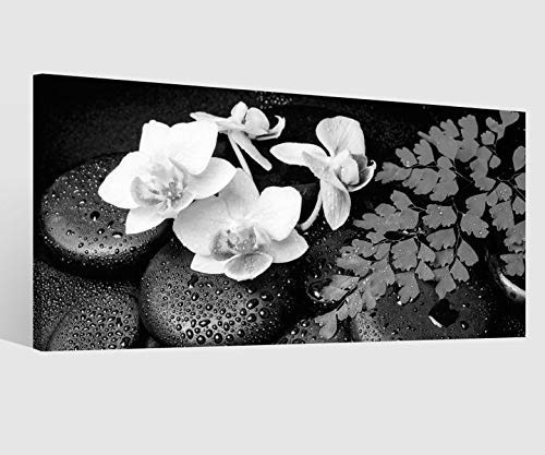 Leinwandbild schwarz weiß Wellness Feng Shui Steine Orchidee Blume Wasser Tropfen Spa Leinwand Bild Bilder Wandbild Holz Leinwandbilder vom Hersteller 9AB166, Leinwand Größe 1:60x30cm