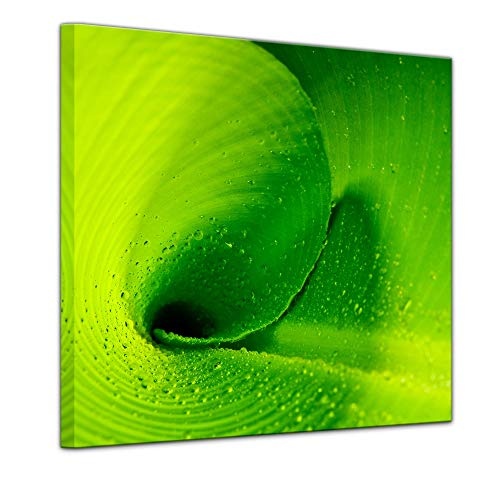 Keilrahmenbild - Bananenblatt - Bild auf Leinwand - 80 x 80 cm - Leinwandbilder - Bilder als Leinwanddruck - Pflanzen & Blumen - grünes Blatt eines Bananenbaumes