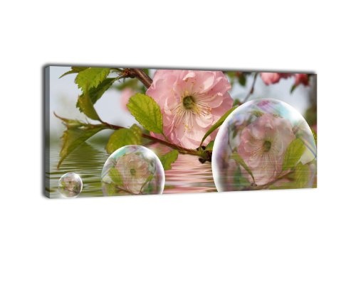 Leinwandbild Panorama Nr. 26 Seifenblasen 100x40cm, Keilrahmenbild, Bild auf Leinwand, Blume, Blüte, Blase