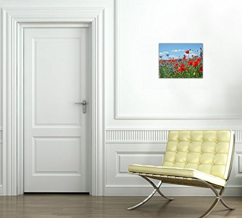 1art1 55247 Blumen - Wildblumen-Wiese Mit Mohn- Und Kornblumen Poster Leinwandbild Auf Keilrahmen 50 x 40 cm