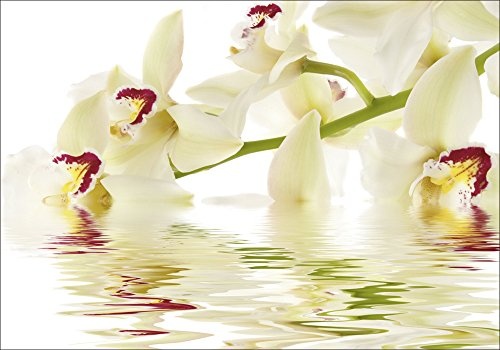 Artland Qualitätsbilder I Bild auf Leinwand Leinwandbilder Wandbilder 100 x 70 cm Botanik Blumen Orchidee Foto Weiß A6VC Weiße Orchidee mit Wasserreflektion