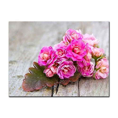 Keilrahmenbild - Kalanchoe Blümchen - Bild auf Leinwand - 120x90 cm einteilig - Leinwandbilder - Pflanzen & Blumen - Kleiner Blumenstrauß - rosa - pink