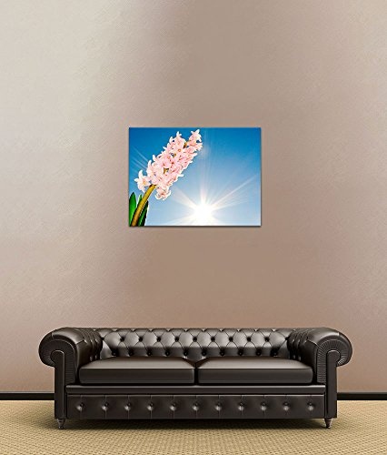 Keilrahmenbild - Blume - Bild auf Leinwand 120 x 90 cm - Leinwandbilder - Bilder als Leinwanddruck - Pflanzen & Blumen - Natur - Sommer - Hyazinthe mit Sonnenstrahlen