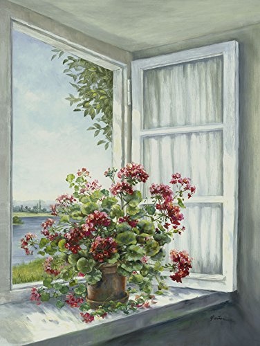 Artland Qualitätsbilder I Bild auf Leinwand Leinwandbilder Wandbilder 60 x 80 cm Botanik Blumen Geranie Malerei Weiß A5SA Geranien am Fenster