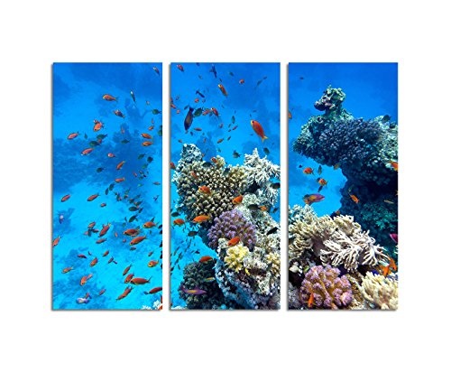 130x90cm - Keilrahmenbild Unterwasserbild Korallen tropische bunte Fische 3teiliges Wandbild auf Leinwand und Keilrahmen - Fotobild Kunstdruck Artprint