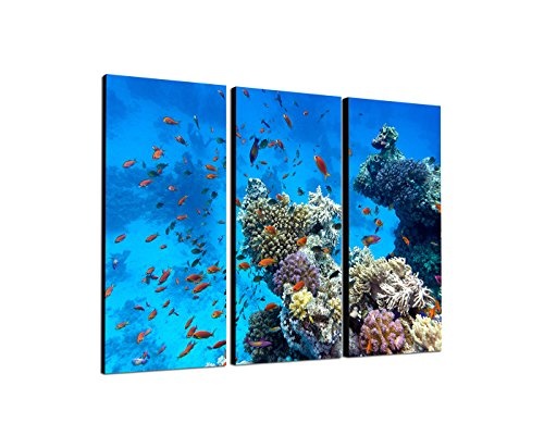 130x90cm - Keilrahmenbild Unterwasserbild Korallen tropische bunte Fische 3teiliges Wandbild auf Leinwand und Keilrahmen - Fotobild Kunstdruck Artprint