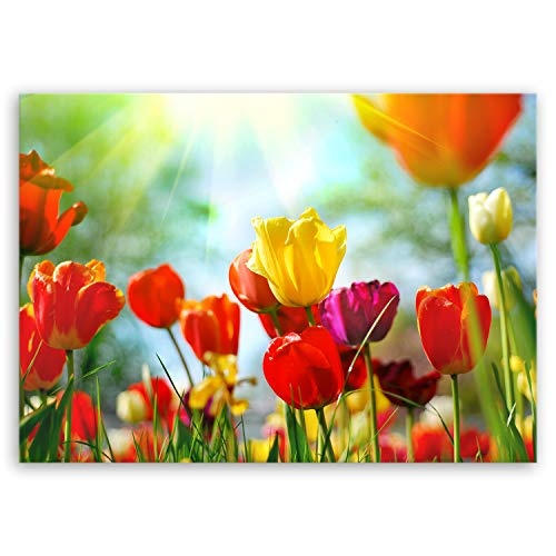 ge Bildet® hochwertiges Leinwandbild - Frühlings Tulpen - 100 x 70 cm einteilig 1311