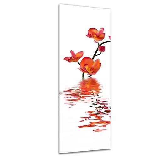 Keilrahmenbild - Orchidee im Wasser - Bild auf Leinwand 40 x 120 cm - Leinwandbilder - Bilder als Leinwanddruck - Pflanzen & Blumen - Natur - Orchideenzweig