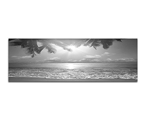Augenblicke Wandbilder Keilrahmenbild Panoramabild SCHWARZ/Weiss 150x50cm Tropen Strand Meer Palme Abendsonne