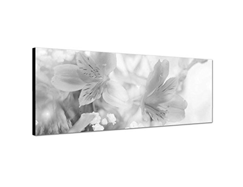Keilrahmenbild Panoramabild SCHWARZ/Weiss 150x50cm Blumen Blüten Farbfilter abstrakt Licht