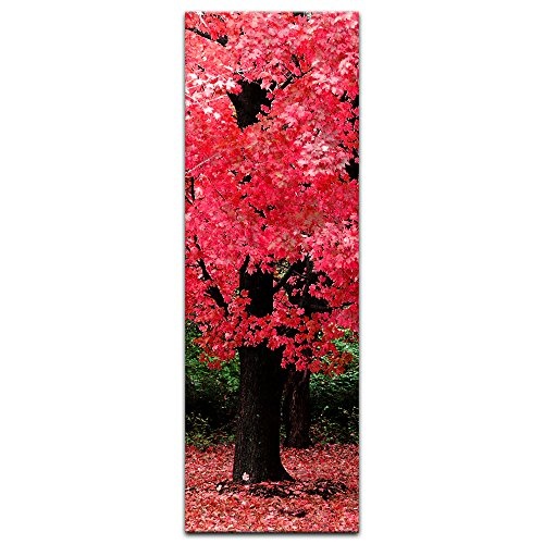 Keilrahmenbild - Herbst Abstrakt - Bild auf Leinwand - 50 x 160 cm - Leinwandbilder - Bilder als Leinwanddruck - Pflanzen & Blumen - Natur - rötlicher Blätterwald