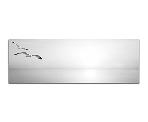 Augenblicke Wandbilder Keilrahmenbild Panoramabild SCHWARZ/Weiss 150x50cm Meer Sonnenlicht Möwen abstrakt
