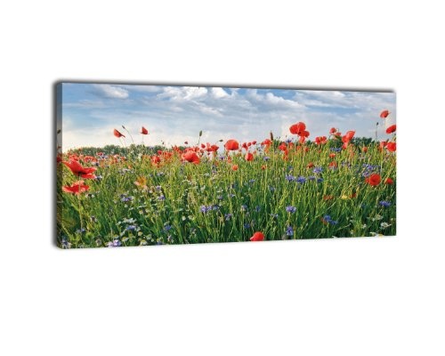 Leinwandbild Panorama Nr. 401 Blumenwiese 100x40cm, Keilrahmenbild, Bild auf Leinwand, Feld Sommer Blüten