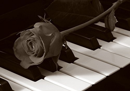 B-wie-Bilder.de Leinwandbild Bild Wandbild Blumen Rosen Musik Klavier Farbe Sepia, Größe 100 x 80 cm