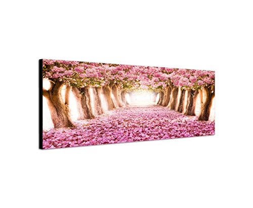 Keilrahmenbild Wandbild 150x50cm Allee Bäume Blüten Blütentunnel rosa