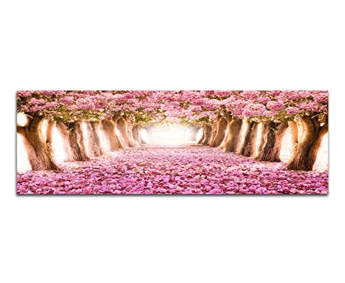 Keilrahmenbild Wandbild 150x50cm Allee Bäume Blüten Blütentunnel rosa