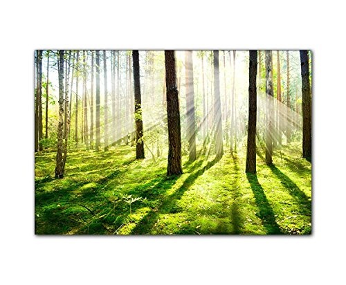 Handgefertigtes Leinwandbild 120x80cm mit Naturmotiv Sonnenstrahlen im Wald. Der Frühlings kommt bald. Bild geliefert auf Holzrahmen direkt zum Aufhängen!