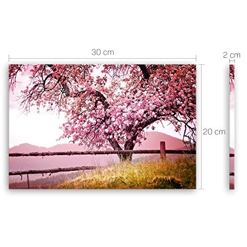 ge Bildet !!! SENSATIONSPREIS hochwertiges Leinwandbild Pflanzen Bilder - Frühlingsbaum - Natur Baum Rosa Pink - 30 x 20 cm einteilig 2206 A