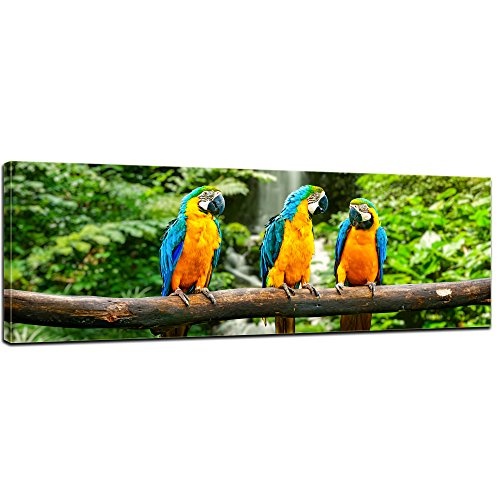 Keilrahmenbild - Blau-Gelber Papagei - Bild auf Leinwand - 120x40 cm - Leinwandbilder - Tierwelten - Südamerika - Ara - Gelbbrustara - tropisch