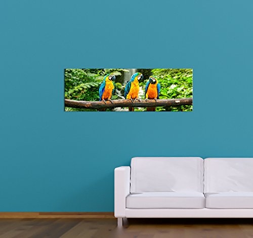 Keilrahmenbild - Blau-Gelber Papagei - Bild auf Leinwand - 120x40 cm - Leinwandbilder - Tierwelten - Südamerika - Ara - Gelbbrustara - tropisch