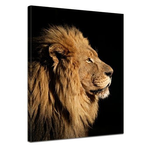 Keilrahmenbild - Großer Afrikanischer Löwe -...