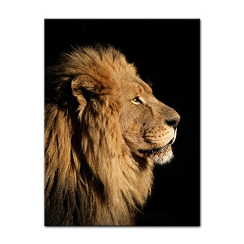 Keilrahmenbild - Großer Afrikanischer Löwe - Bild auf Leinwand - 90x120 cm - Leinwandbilder - Tierwelten - Afrika - König - Profilansicht - majestätisch