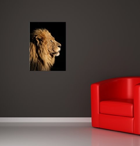 Keilrahmenbild - Großer Afrikanischer Löwe - Bild auf Leinwand - 90x120 cm - Leinwandbilder - Tierwelten - Afrika - König - Profilansicht - majestätisch