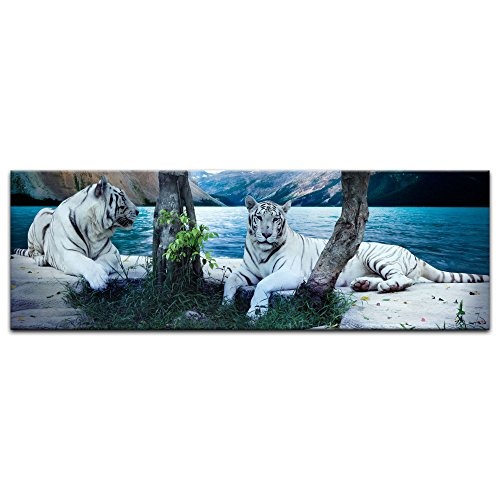 Keilrahmenbild - Tiger II - Bild auf Leinwand - 160 x 50 cm - Leinwandbilder - Bilder als Leinwanddruck - Tierwelten - Wildtiere - Grosskatzen - Zwei weiße Tiger