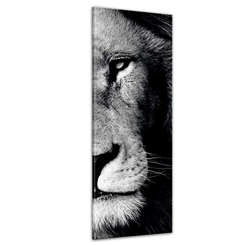 Keilrahmenbild - Löwe - sw - Bild auf Leinwand - 40...