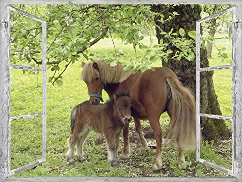 Artland Qualitätsbilder I Bild auf Leinwand Leinwandbilder Wandbilder 80 x 60 cm Tiere Haustiere Pferd Collage Grün C0AJ Fensterblick Pony mit Kind