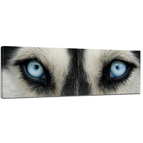 Keilrahmenbild - Huskyaugen - Bild auf Leinwand - 160x50 cm einteilig - Leinwandbilder - Tierwelten - Hunderasse - Siberian Husky