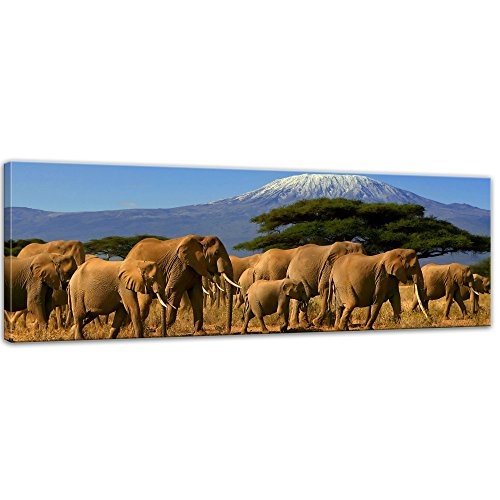 Keilrahmenbild - Elefanten am Kilimandscharo - Bild auf...