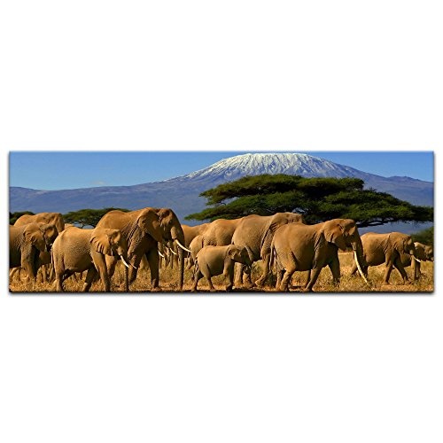 Keilrahmenbild - Elefanten am Kilimandscharo - Bild auf Leinwand - 120 x 40 cm - Leinwandbilder - Bilder als Leinwanddruck - Tierwelten - Natur - Afrika - Elefantenherde auf Wanderung