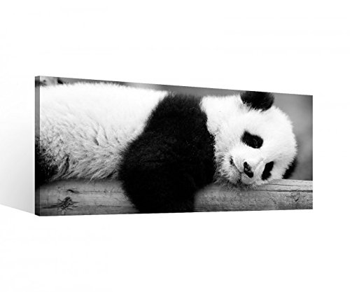 Leinwand 1 Tlg Panda Pandabär schwarz weiß...