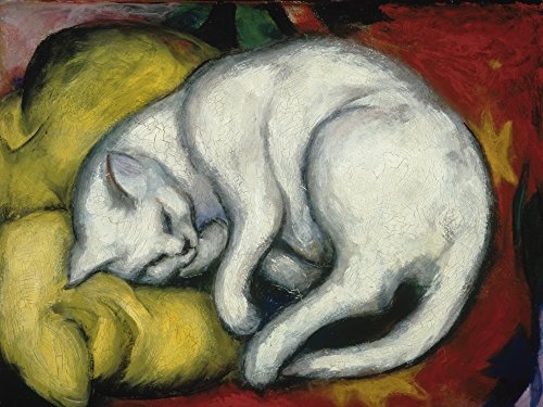 Artland Qualitätsbilder I Bild auf Leinwand Leinwandbilder Wandbilder 60 x 45 cm Tiere Haustiere Katze Malerei Weiß C1LK Die Weisse Katze