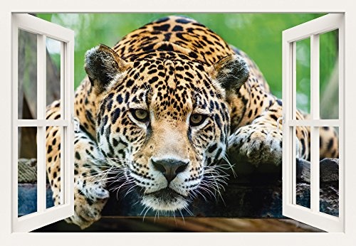 Artland Qualitätsbilder I Bild auf Leinwand Leinwandbilder Wandbilder 100 x 70 cm Tiere Wildtiere Raubkatze Foto Braun B8DY Fensterblick Südamerikanischer Jaguar